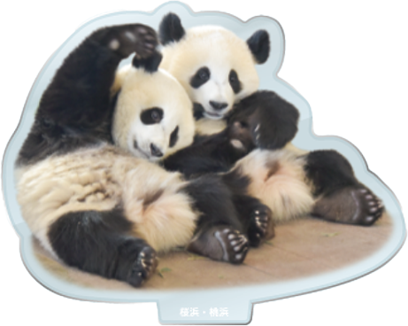 パンダのアクリルスタンド 桜浜・桃浜1