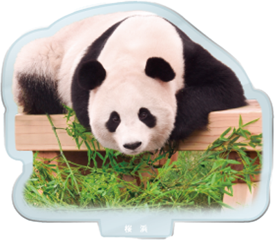 パンダのアクリルスタンド 桜浜1