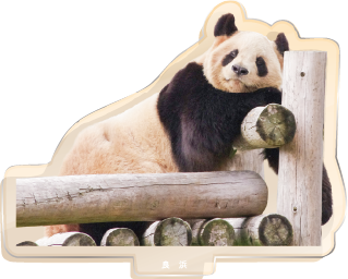 パンダのアクリルスタンド 良浜2