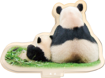 パンダのアクリルスタンド 良浜3