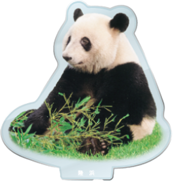 パンダのアクリルスタンド 隆浜1