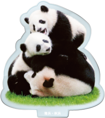 パンダのアクリルスタンド 隆浜・秋浜1