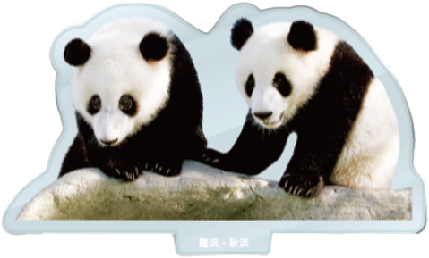 パンダのアクリルスタンド 隆浜・秋浜2