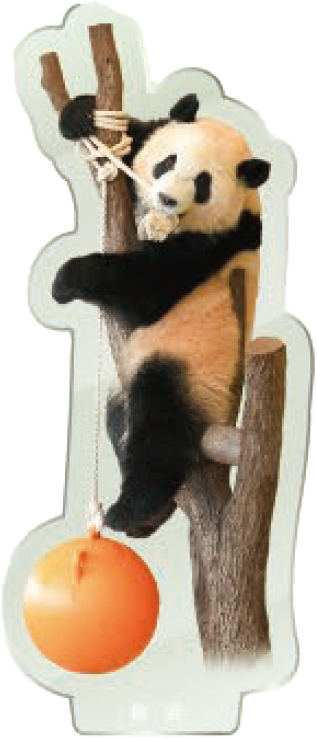 パンダのアクリルスタンド 彩浜2