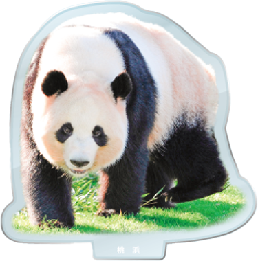 パンダのアクリルスタンド 桃浜1