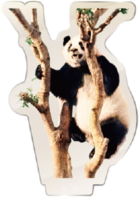 パンダのアクリルスタンド 蓉浜3