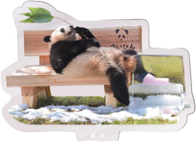 パンダのアクリルスタンド 結浜1