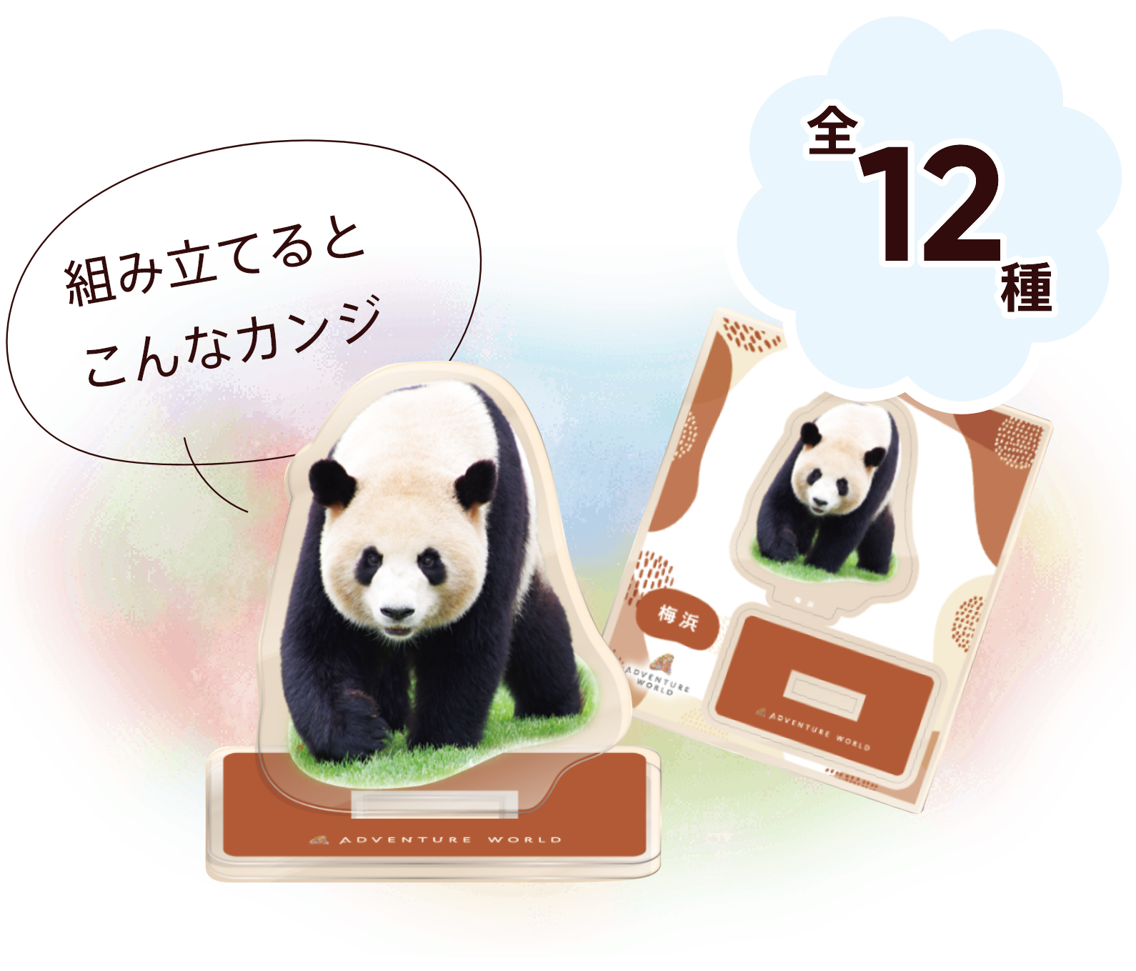 パンダのアクリルスタンド。組み立てた状態と台座デザインのイメージ。全12種類。